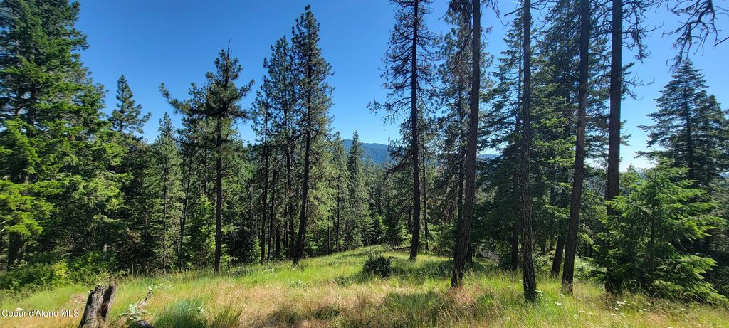 NNA S. Bobsled Trail, Coeur d'Alene, ID 83814 photo 15