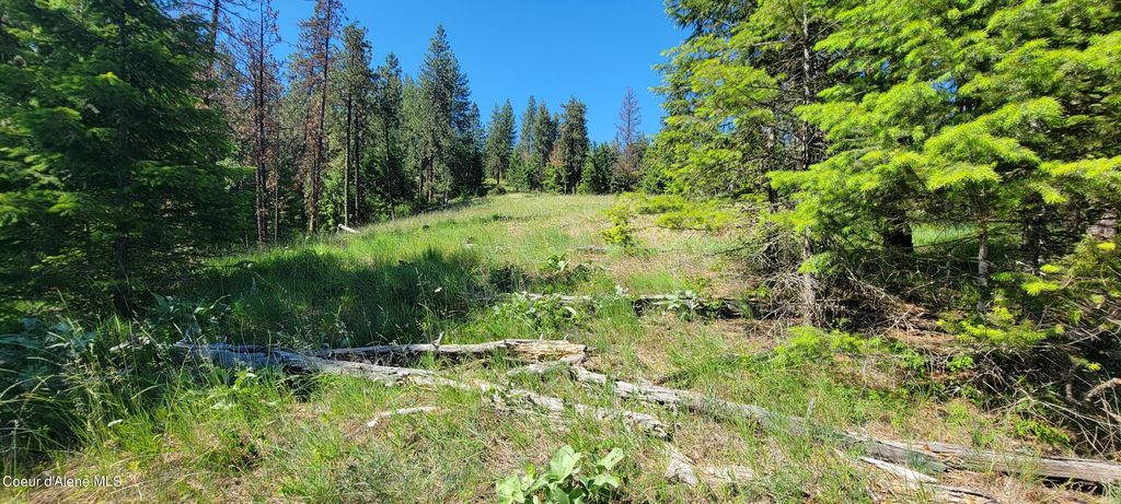 NNA S. Bobsled Trail, Coeur d'Alene, ID 83814 photo 16