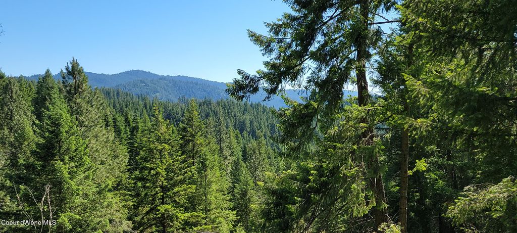 NNA S. Bobsled Trail, Coeur d'Alene, ID 83814 photo 18