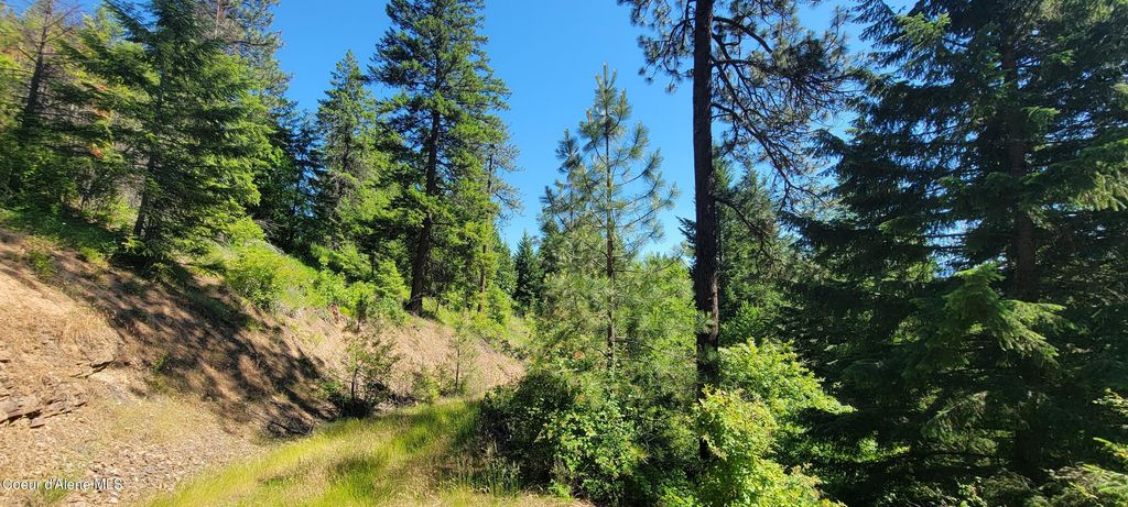 NNA S. Bobsled Trail, Coeur d'Alene, ID 83814 photo 4