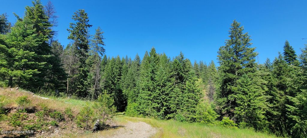 NNA S. Bobsled Trail, Coeur d'Alene, ID 83814 photo 5