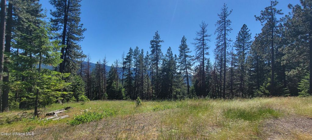 NNA S. Bobsled Trail, Coeur d'Alene, ID 83814 photo 6