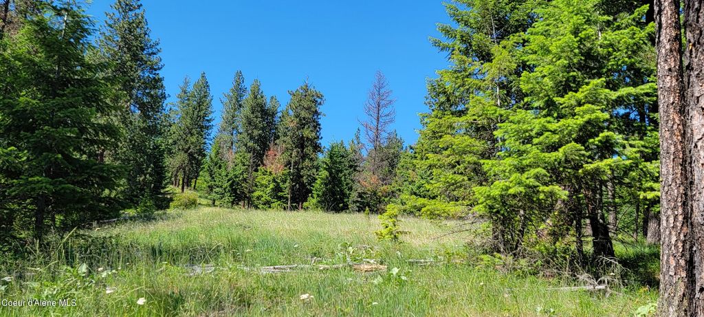 NNA S. Bobsled Trail, Coeur d'Alene, ID 83814 photo 7