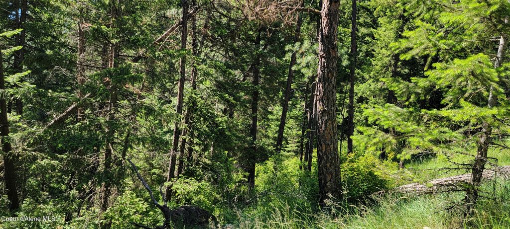 NNA S. Bobsled Trail, Coeur d'Alene, ID 83814 photo 8