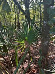 3820 Cypress Shores Drive, Mobile, AL 36619