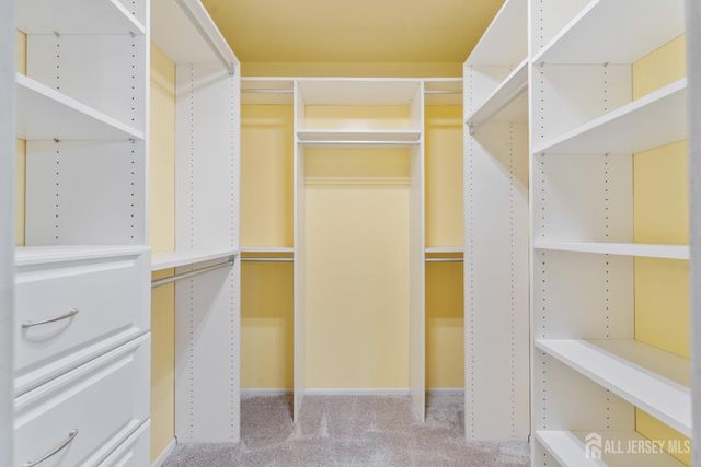 431 Brentwood Drive, Piscataway, NJ 08854