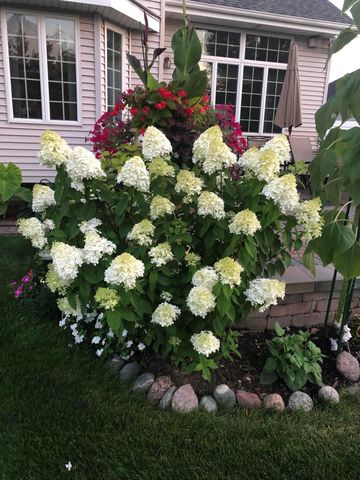 4934 Oriole Avenue, Schererville, IN 46375