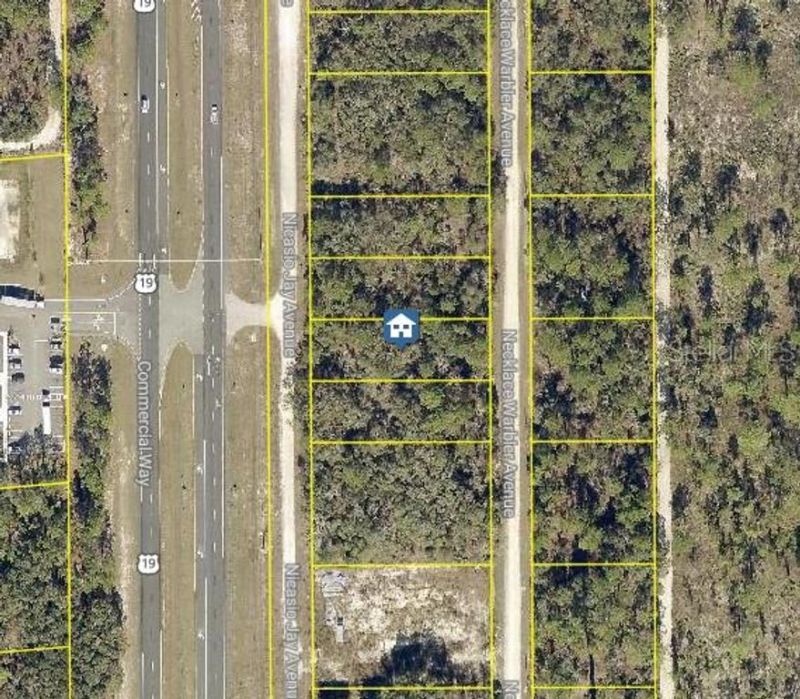 LOT 15 NICASIO JAY AVENUE, Weeki Wachee, FL 34614