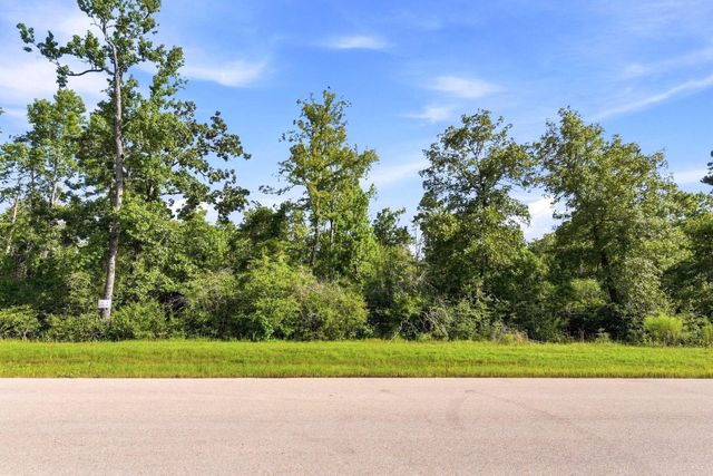 294 Iron Horse Road, Willis, TX 77378