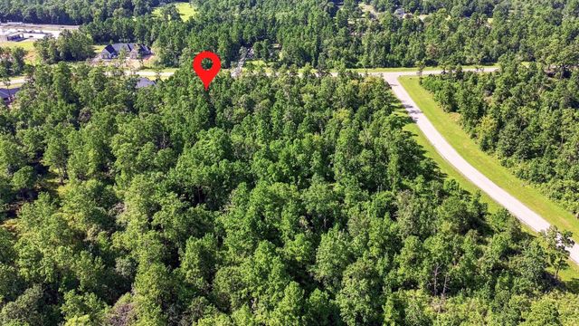294 Iron Horse Road, Willis, TX 77378