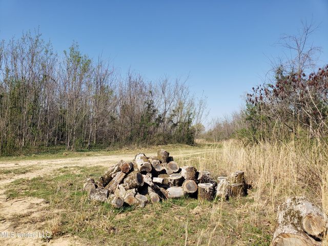 Hogfoot Road, Senatobia, MS 38668