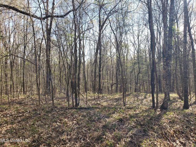 Hogfoot Road, Senatobia, MS 38668