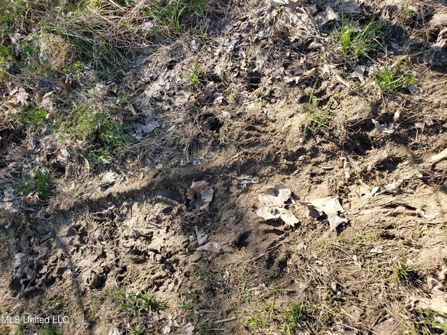 Hogfoot Road, Senatobia, MS 38668