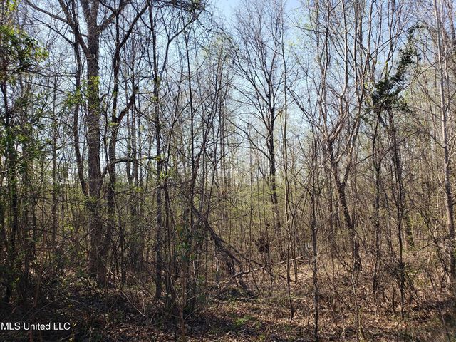 Hogfoot Road, Senatobia, MS 38668