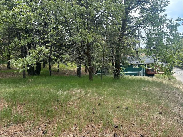 0 Deer Lick Lane, Running Springs, CA 92382