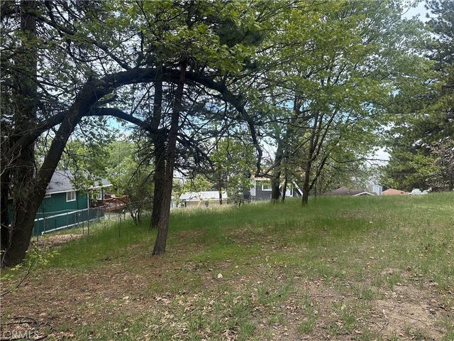 0 Deer Lick Lane, Running Springs, CA 92382