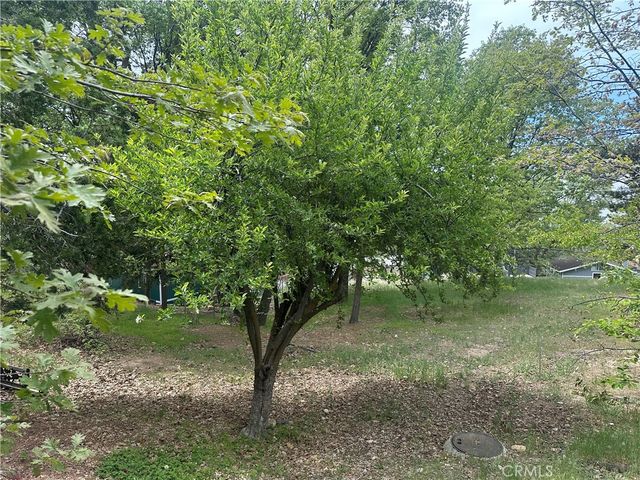 0 Deer Lick Lane, Running Springs, CA 92382