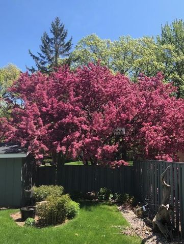 2007 Summit Drive, Saint Cloud, MN 56303