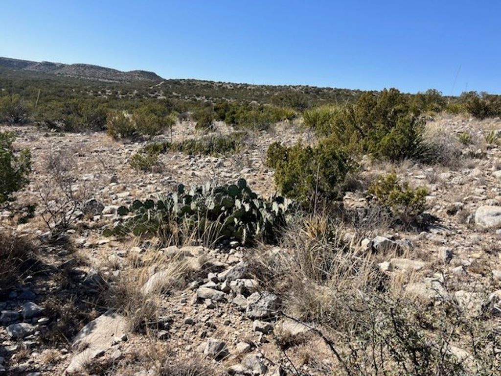 Image 16 of property listing at 23 Timber Point Rd # 23, Ozona, TX 76943