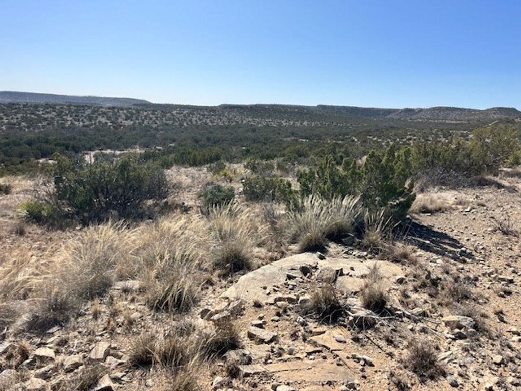 Image 18 of property listing at 23 Timber Point Rd # 23, Ozona, TX 76943