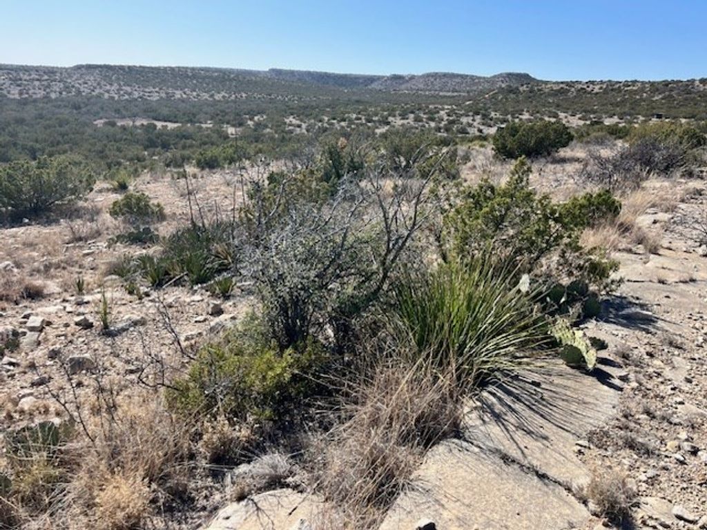 Image 19 of property listing at 23 Timber Point Rd # 23, Ozona, TX 76943