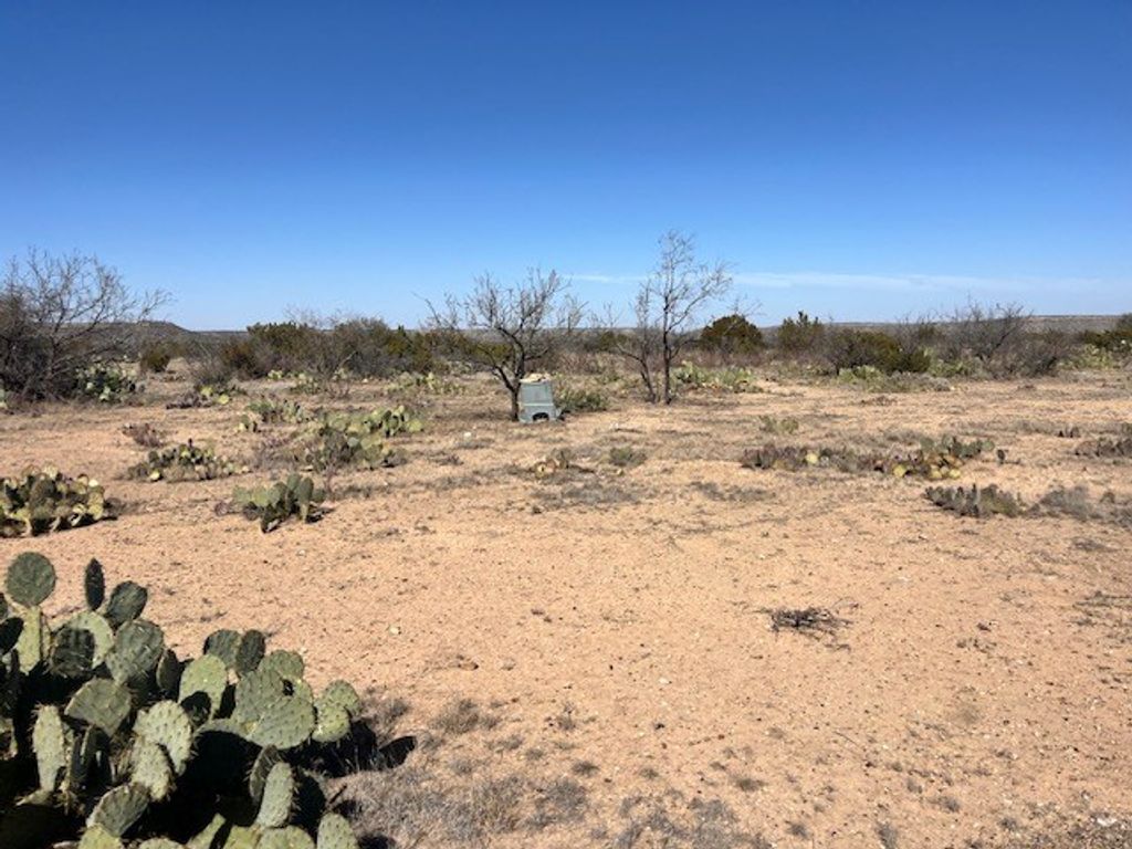 Image 2 of property listing at 23 Timber Point Rd # 23, Ozona, TX 76943