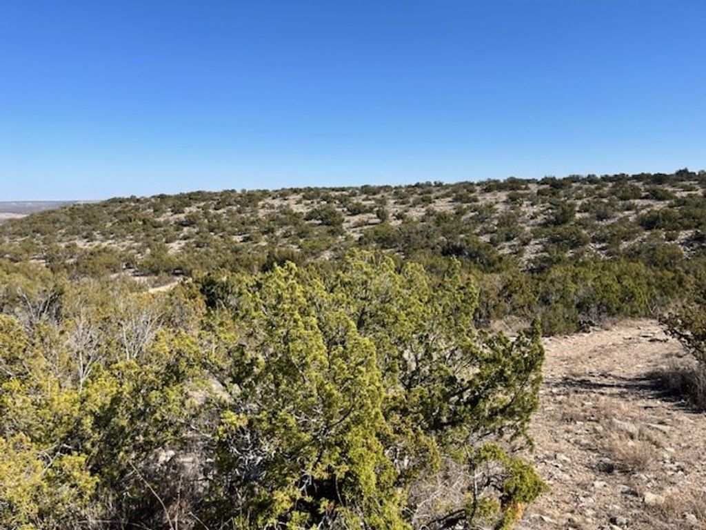 Image 3 of property listing at 23 Timber Point Rd # 23, Ozona, TX 76943