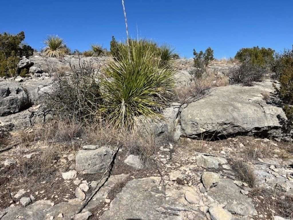 Image 5 of property listing at 23 Timber Point Rd # 23, Ozona, TX 76943