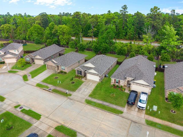 11518 Castle Nugent Court, Conroe, TX 77304