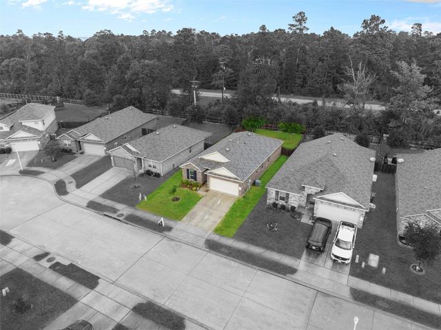11518 Castle Nugent Court, Conroe, TX 77304