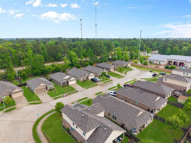 11518 Castle Nugent Court, Conroe, TX 77304
