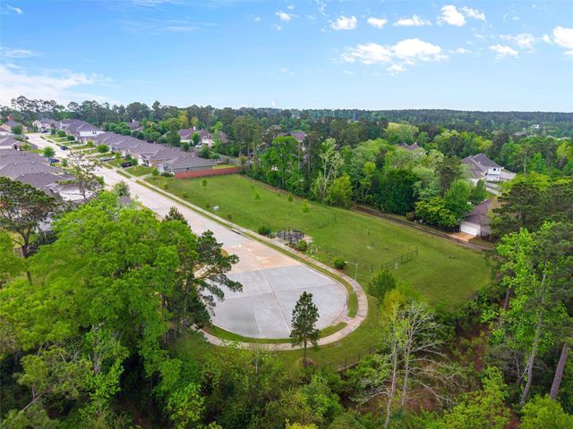 11518 Castle Nugent Court, Conroe, TX 77304