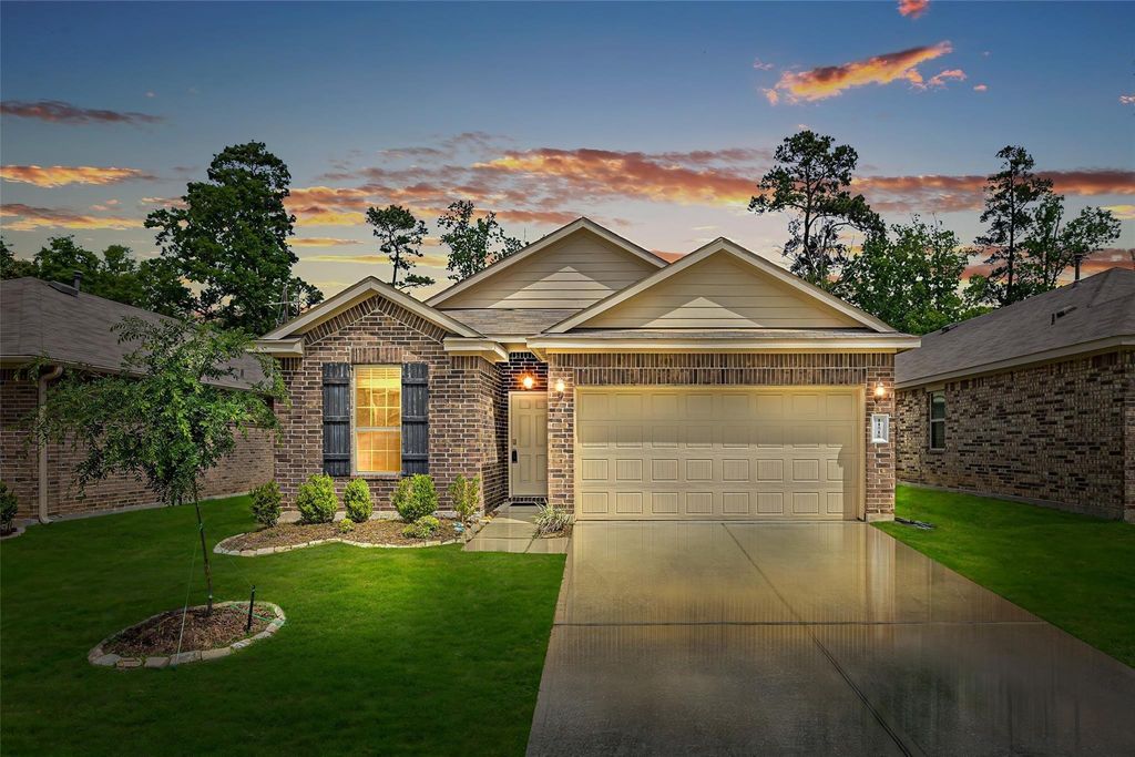 11518 Castle Nugent Court, Conroe, TX 77304