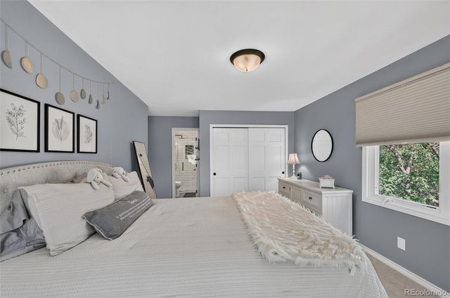 3 Marsh Hawk Lane, Littleton, CO 80127