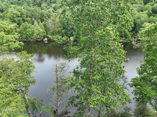 1768 Ripshin Mountain Road, Roan Mountain, TN 37687