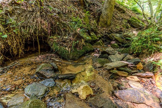 LOT 23 Fox Trail Court, Talking Rock, GA 30175
