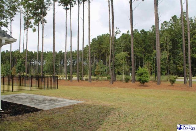 1008 Magnolia Warbler Way, Ravenel, SC 29470