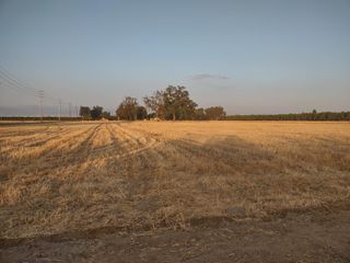 Lovers Lane, Visalia, CA 93292