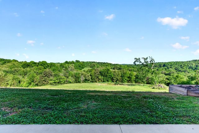 3485 Pinetree Cir, Palmyra, TN 37142