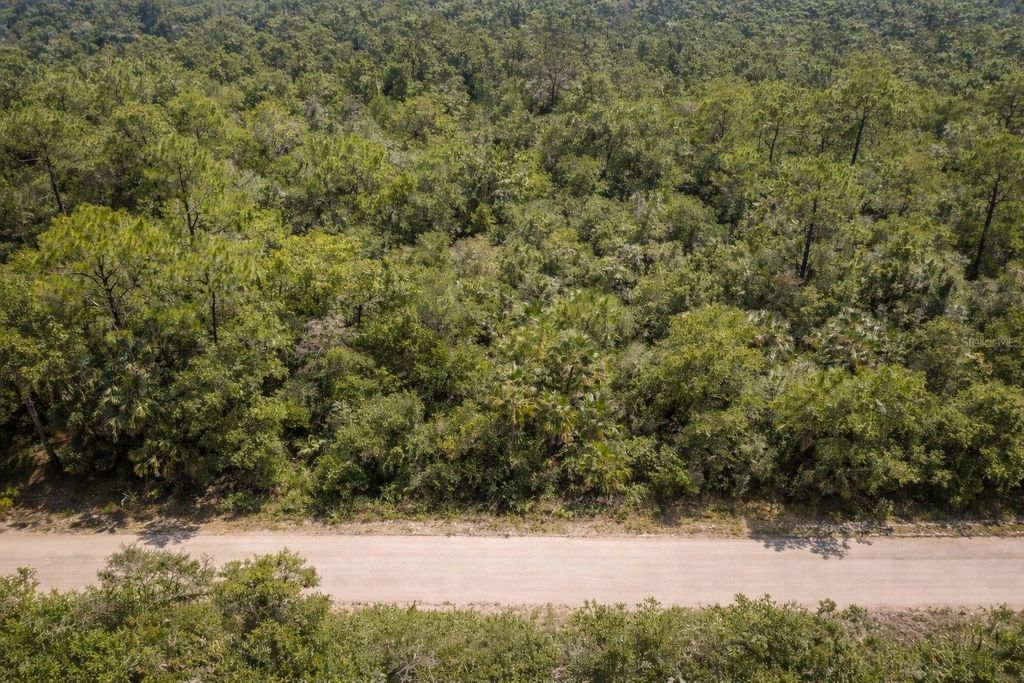 823 DURMON AVENUE, Lake Placid, FL 33852