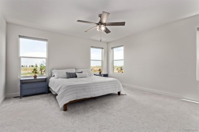 4183 Chasm Lake Drive, Loveland, CO 80538