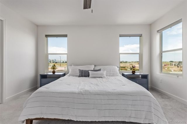 4183 Chasm Lake Drive, Loveland, CO 80538