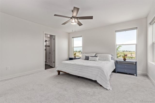 4183 Chasm Lake Drive, Loveland, CO 80538