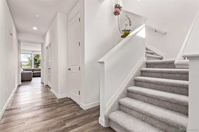 4183 Chasm Lake Drive, Loveland, CO 80538