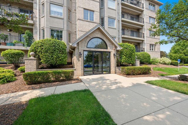 8515 Woodward Avenue 303, Woodridge, IL 60517