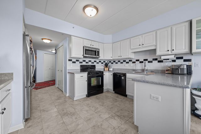 8515 Woodward Avenue 303, Woodridge, IL 60517