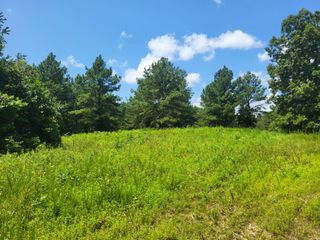 1 Strawberry Gables, Holladay, TN 38341