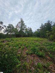 1142 Belue Mill Road, Landrum, SC 29356