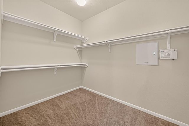 10051 Cimarron Canyon Lane, Magnolia, TX 77354