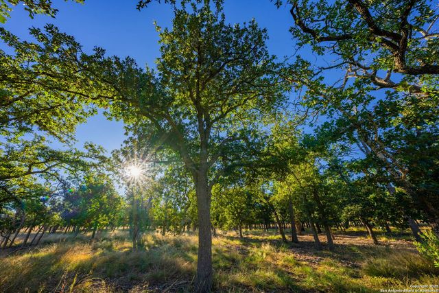 28 Ruger Rd, Fredericksburg, TX 78624